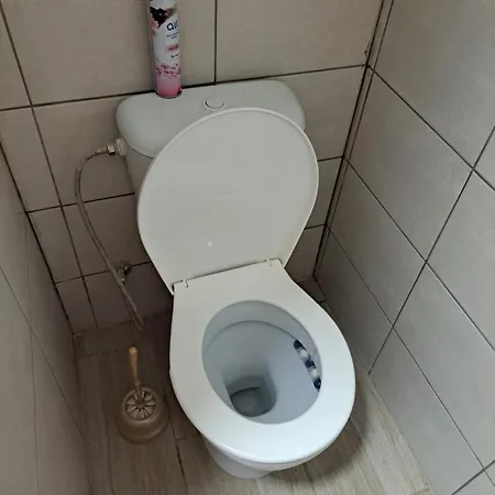 Moderni S Balkonem V Srdci Pardubic アパート パルドゥビツェ