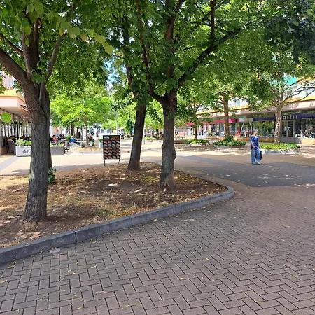 Moderni S Balkonem V Srdci Pardubic パルドゥビツェ