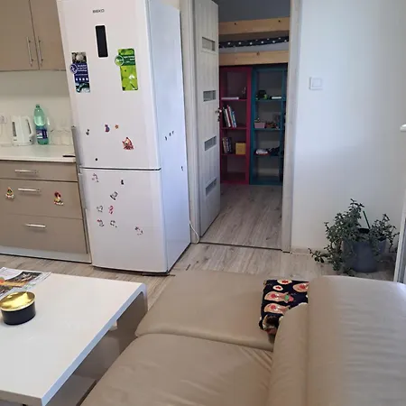 Moderni S Balkonem V Srdci Pardubic Apartment *