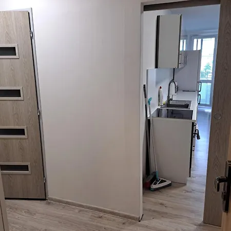 Moderni S Balkonem V Srdci Pardubic باردوبيتسه