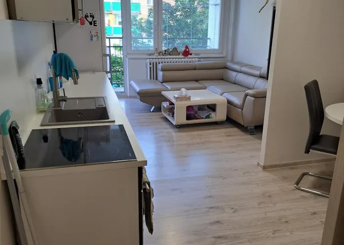Moderni S Balkonem V Srdci Pardubic